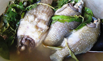 Cá diếc giúp nam giới... vững vàng hơn