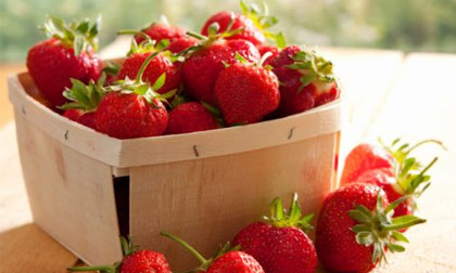 4 loại mặt nạ chăm sóc da chuyên dụng khi trời nồm