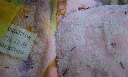 Khăn 'Made in China' ngâm nước có ấu trùng lạ