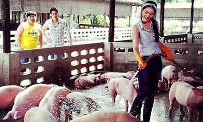 Lộ ảnh 'Ma nữ' Mai Davika chăm heo cừ khôi 