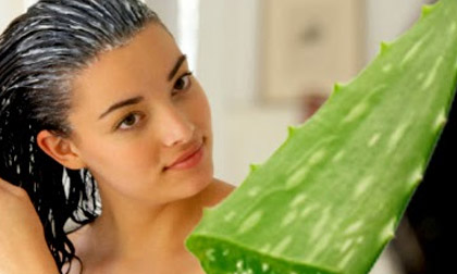 Tuyệt chiêu "tẩy chay" gàu hiệu quả