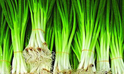 Khám phá 10 công dụng tuyệt vời của hành lá