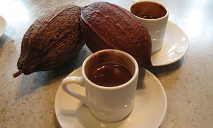 Lợi ích không hề nhỏ của ca cao với sức khỏe