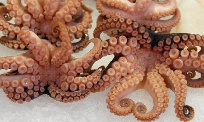 Các món 'ăn tươi nuốt sống' độc đáo trên thế giới