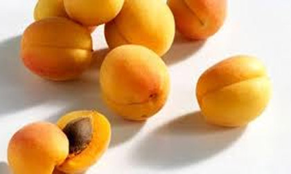 Những bài thuốc quý từ quả mơ