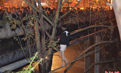 Phát hoảng 'cô gái trẻ' mặc váy ngắn leo lên cây để trốn cảnh sát