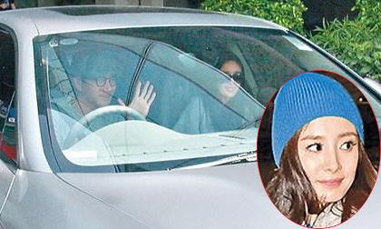 Dương Mịch béo lên sau khi nghỉ dưỡng thai