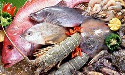 Hà Nội: Ốc, trai, hến nhiễm asen quá mức