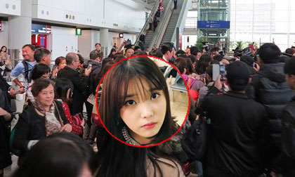 Fans Hồng Kông chen lấn hỗn loạn vì IU