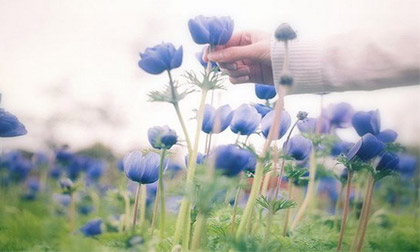 Khám phá thứ bảy của bạn (29/3)