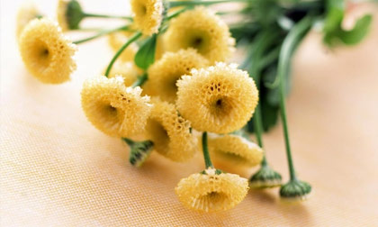 Tháng Ba có gì chờ đợi? 