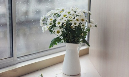 Chiêm tinh tuần lễ đầu tháng 4 của 12 cung hoàng đạo