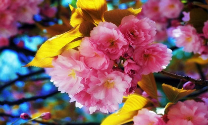 Thứ Tư của bạn (5/3)