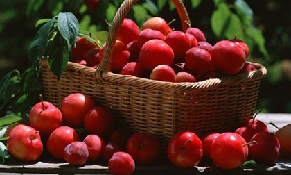 8 loại trái cây cung cấp năng lượng và giảm cân hiệu quả