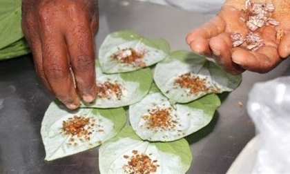 Ăn trầu - Thủ phạm gây ung thư