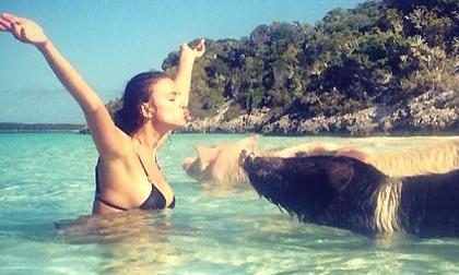 Bồ CR7 tạo dáng độc bên lợn