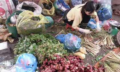 Thài lài, rau má hút khách đầu hè