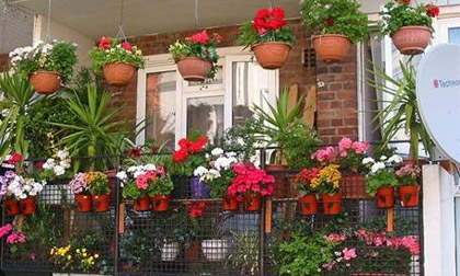 Mẹo trang trí ban công chật hẹp