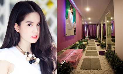 Spa của Ngọc Trinh phải đóng cửa vì không có giấy phép?
