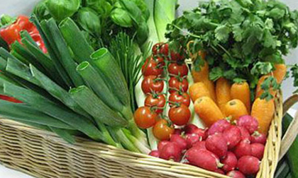 Cách khử thuốc trừ sâu trên rau quả nhanh nhất