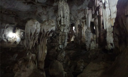 Cảnh sắc Mộc Châu