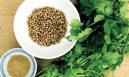 Hạt mùi không trị được sởi, còn gây kích ứng da