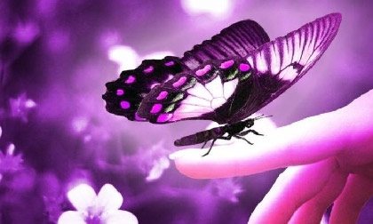 Tử vi 12 chòm sao ngày 21/4