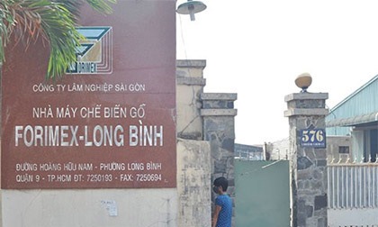 Cháy lớn tại nhà máy chế biến gỗ