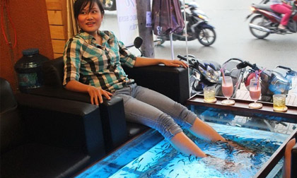 4 quán cà phê "động vật" thú vị ở Sài Gòn