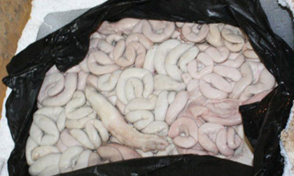 “Phù phép” tràng lợn thối thành đặc sản, hút hồn dân nhậu