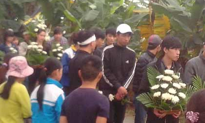 Nhiều uẩn khúc quanh vụ nữ sinh chết vì thuốc diệt cỏ