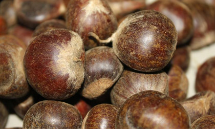 Giá trị dinh dưỡng tuyệt vời của hạt dẻ