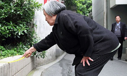 Bà lão 80 tuổi nổi tiếng vì diệt 1.000 con ruồi mỗi ngày