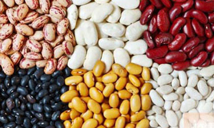 Những thực phẩm cần cho người thiếu máu thiếu sắt