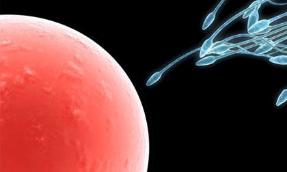 8 'kẻ thù' dễ làm tinh trùng dị dạng