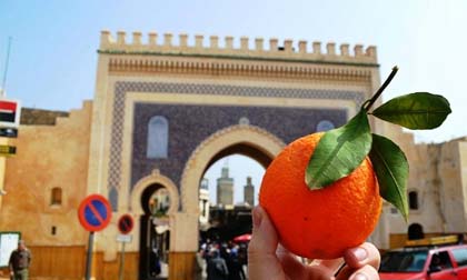 Thú vị những bức hình 'tự sướng' bằng đồ ăn