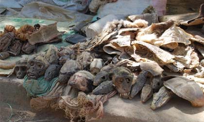 Những nơi đáng sợ nhất thế giới 