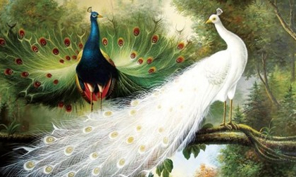 Mẹo phong thủy giúp thu hút tiền tài