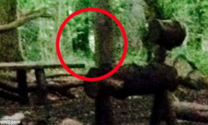 Bỏ cắm trại trong rừng vì... gặp ma