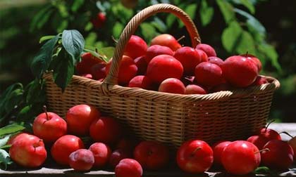 Ăn gì trước khi tập yoga?