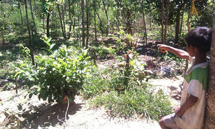 "Dê xồm” vừa ra trại đã giở trò đồi bại với thiếu nữ tâm thần