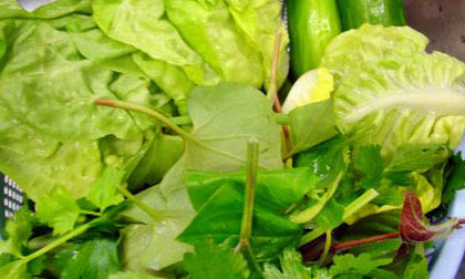 Cảnh giác với bệnh thương hàn