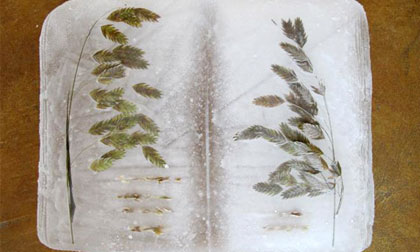 Những cuốn sách làm hoàn toàn từ nước đá