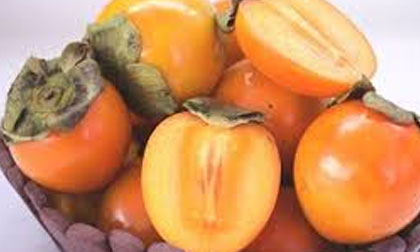 Quả chát- tác dụng ít ai ngờ