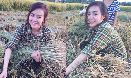 Bà Tưng gây 'sốt' với ảnh mộc mạc, chân chất về quê gặt lúa