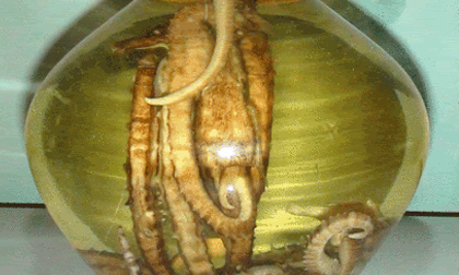 10 bài rượu thuốc cho quý ông “tắt lửa”