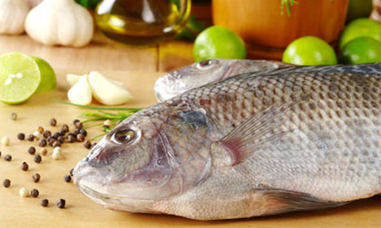 Thịt, cá để được bao lâu trong tủ lạnh?