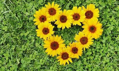 Thứ Tư của bạn (21/5/2014)