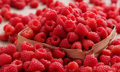 Thực phẩm hữu ích cho người viêm họng