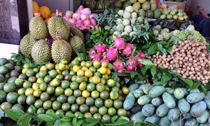 Nắng cháy: Chanh, dừa vừa bán vừa la vẫn đắt hàng